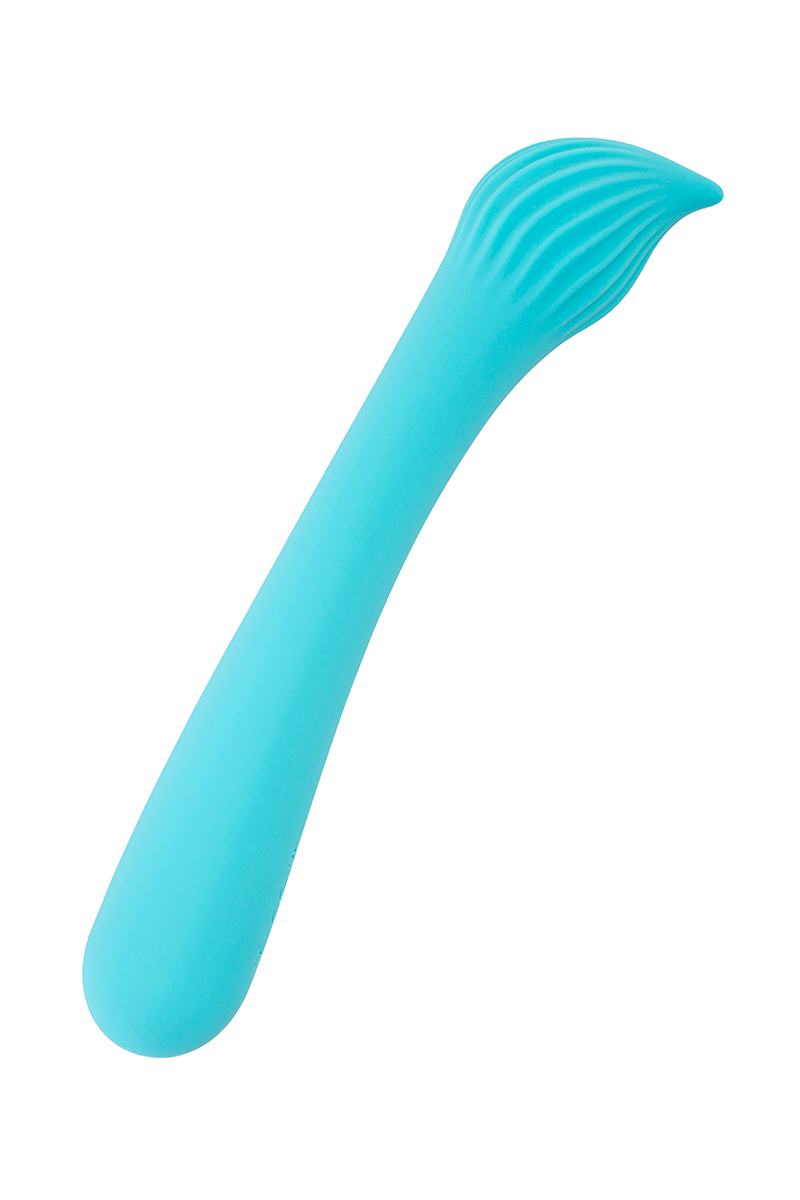 Vibro rechargeable Passionmania bleu - FairyGasm – Image 3